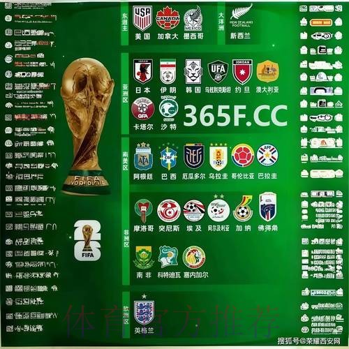 探索世界杯外围平台热门选择与趋势